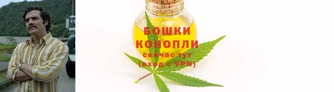 дживик Мегион