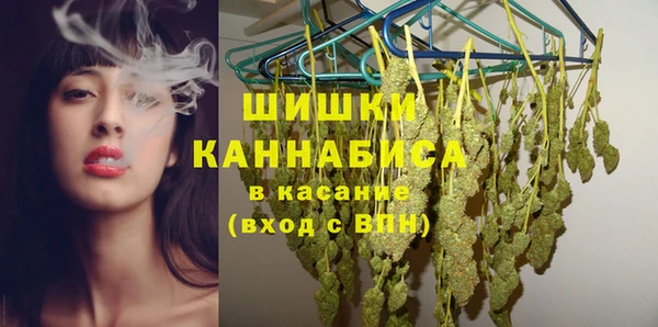дживик Мегион