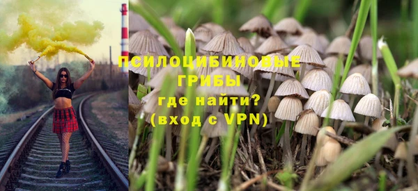 дживик Мегион
