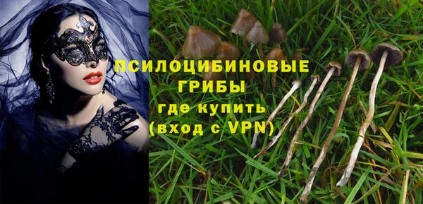 дживик Мегион